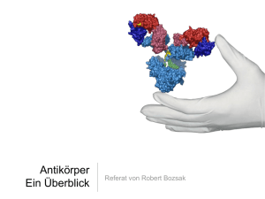 Antikörper – ein Überblick | Präsentation