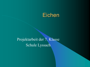 Eichen - Schule Lyssach