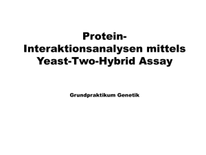 Yeast-Two-Hybrid: Prinzip