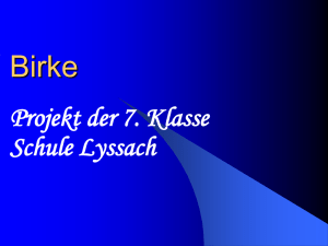 Birke Projektarbeit der 7. Klasse Schule Lyssach