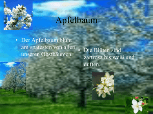 Apfelbaum - Technolink