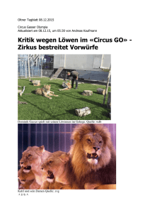 Kritik wegen Löwen im «Circus GO»