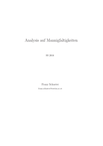 Analysis auf Mannigfaltigkeiten (in German)