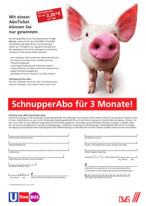 SchnupperAbo für 3 Monate! - Duisburger Verkehrsgesellschaft AG