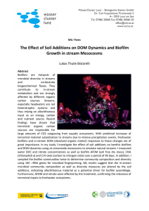 The Effect of Soil Additions on DOM Dynamics and Biofilm Growth in