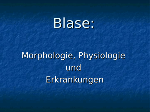 Blase - Urologe Dr. Ambs
