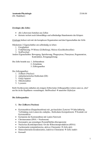 Anatomie/Physiologie 23.04.04 (Dr. Shakibaei) Zytologie (die Zelle