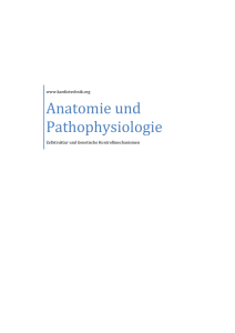 Anatomie und Pathophysiologie