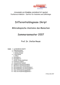 Differentialdiagnose-Skript Sommersemester 2007
