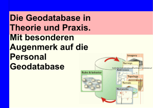 Die Geodatabase in Theorie und Praxis. Mit besonderen