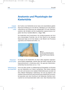 Anatomie und Physiologie der Kieferhöhle