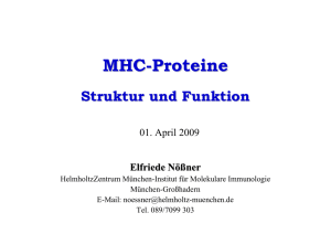 MHC-Proteine