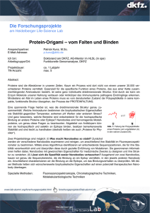 Die Forschungsprojekte Protein-Origami – vom Falten und Binden