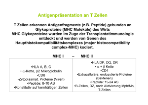 Antigene MHC - MedUni Wien