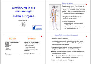Einführung in die Immunologie Zellen & Organe - Ruhr