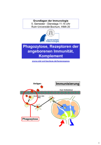 Phagozytose, Rezeptoren der angeborenen Immunität, Komplement