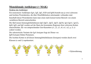 Monoklonale Antikörper (= MAK)