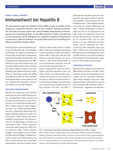 Immunantwort bei Hepatitis B