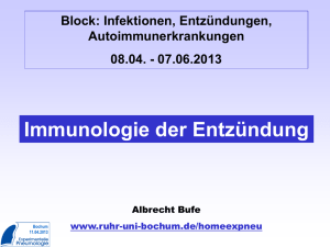 Immunologie der Entzündung - Ruhr