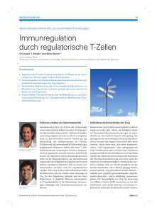 Immunregulation durch regulatorische T-Zellen