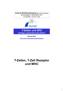 T-Zellen, T-Zell Rezeptor und MHC - Ruhr