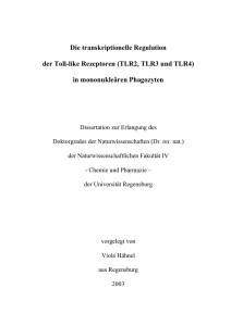 PhD Thesis - Arbeitsgruppe Rehli