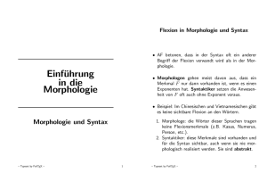 Morphologie und Syntax