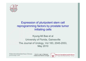 Expression of pluripotent stem cell reprogramming factors by