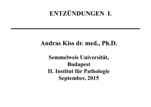 ENTZÜNDUNGEN I. Andras Kiss dr. med., Ph.D.