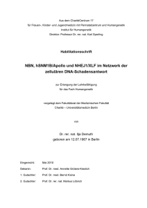 NBN, hSNM1B/Apollo und NHEJ1/XLF im Netzwerk der zellulären