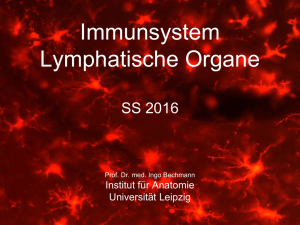 Immunsystem Lymphatische Organe SS 2016 Prof. Dr. med. Ingo