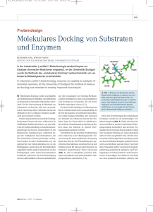 Molekulares Docking von Substraten und Enzymen