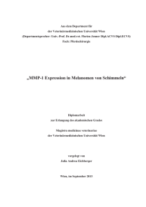 MMP-1 Expression in Melanomen von Schimmeln