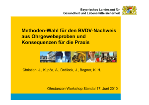 Methoden-Wahl für den BVDV-Nachweis aus Ohrgewebeproben