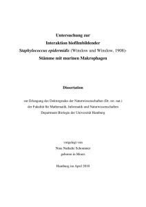 Dokument 1 - E-Dissertationen der Universität Hamburg