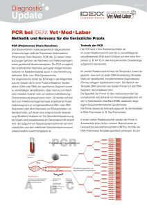 PCR bei IDEXX Vet Med Labor