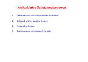 Antioxidative Schutzmechanismen