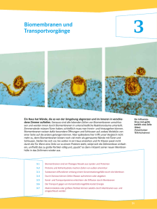 Biomembranen und Transportvorgänge
