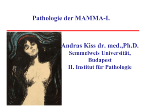 Pathologie der MAMMA-I. Andras Kiss dr. med.,Ph.D.