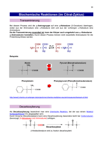 Biochemische Reaktionen (im Citrat