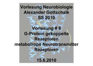Vorlesung Neurobiologie Alexander Gottschalk SS 2010 Vorlesung