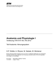 Anatomie und Physiologie I