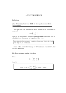Determinanten - Mathe Online