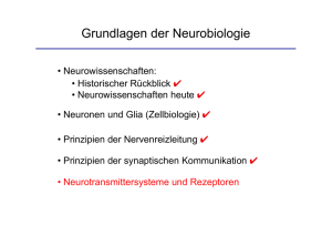 Grundlagen der Neurobiologie