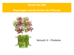 Versuch V – Proteine Modul Bio-280 Physiologie und Biochemie der