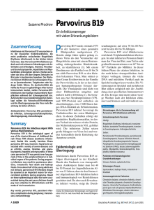 Parvovirus B19 - Deutsches Ärzteblatt