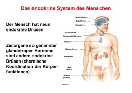 Das Hormonsystem ein Überblick