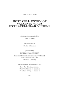 HOST CELL ENTRY OF VACCINIA VIRUS EXTRACELLULAR
