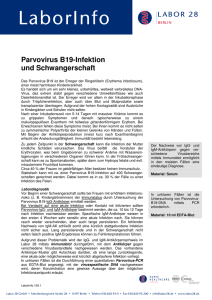 Parvovirus B19 in der Schwangerschaft