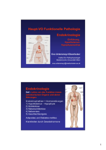 Haupt-VO Funktionelle Pathologie Endokrinologie
